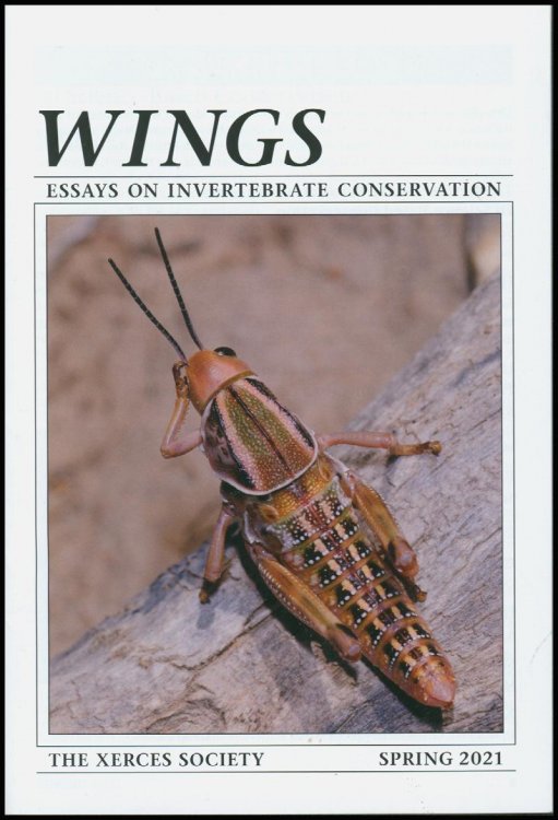 Wings: Essays on Invertebrate Conservation: Fifty Years of Conservation (Spring 2021)