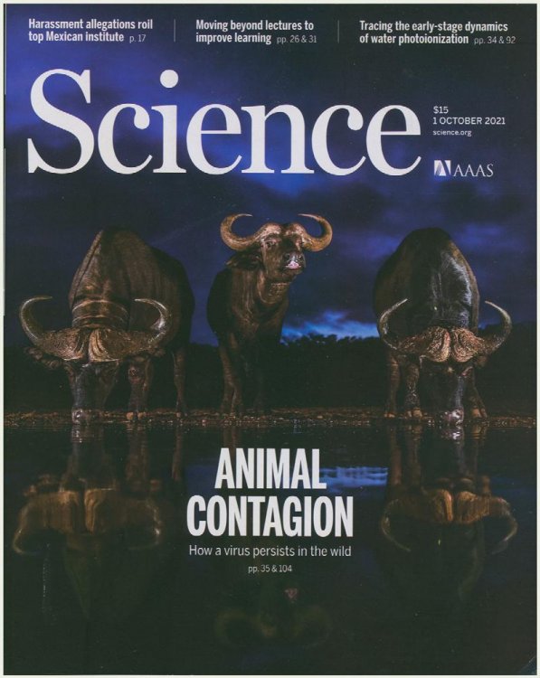 Science Magazine: Animal Contagion: How a Virus Persists in the Wild (1 October 2021, Vol. 374, No. 6563)