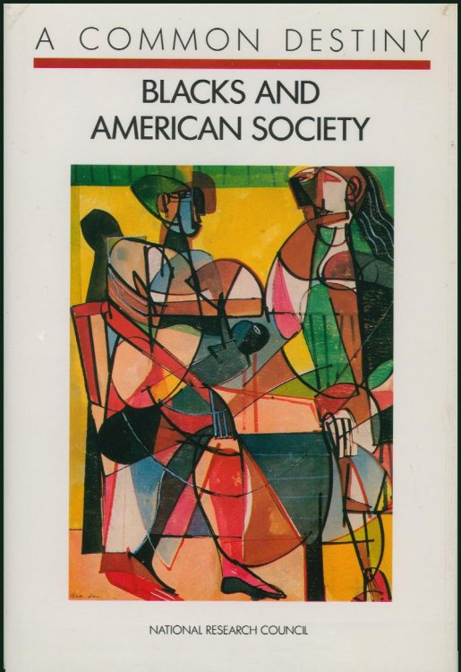 A Common Destiny: Blacks and American Society