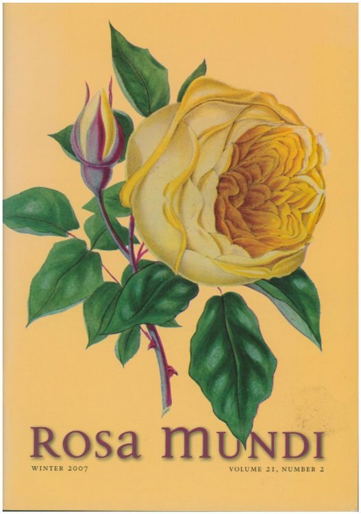 Rosa Mundi (Winter 2007, Vol 21, No. 2)