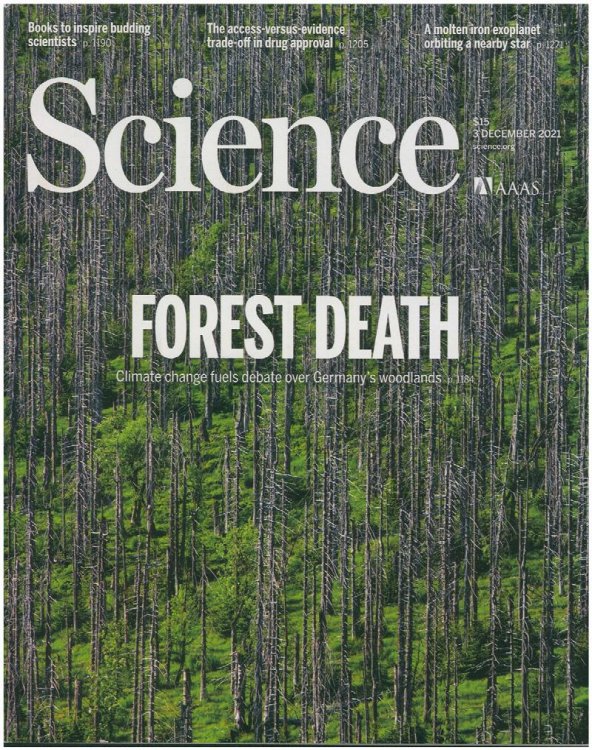 Science Magazine: Forest Death (3 December 2021, Vol 374, No. 6572)