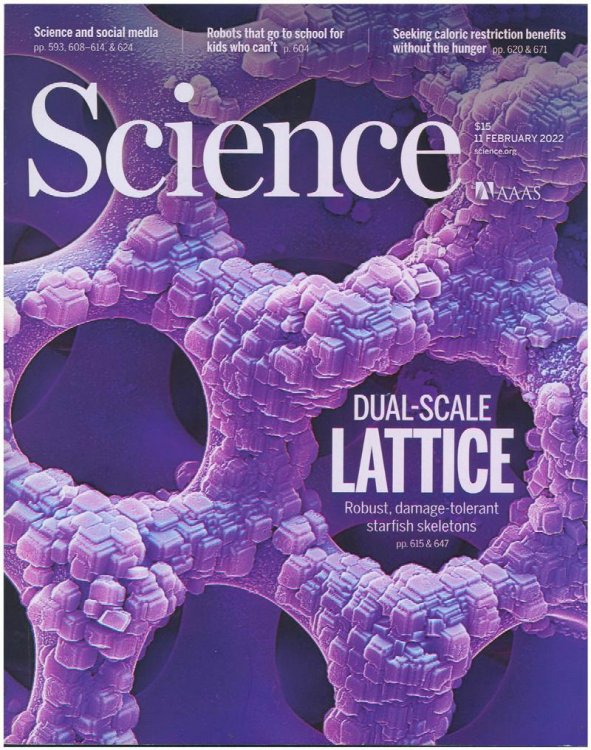Science Magazine: Dual-Scale Lattice (11 February 2011, Vol 375, No 6581)