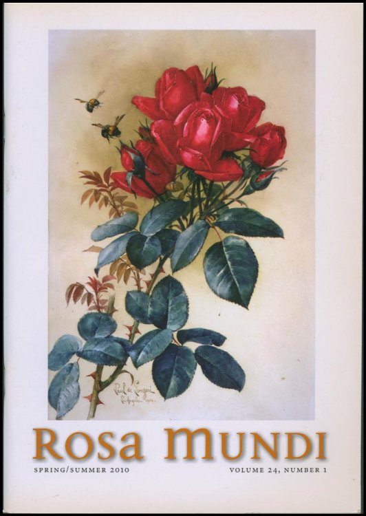 Image for Rosa Mundi (Spring/Summer 2010, Volume 24, Number 1) Rosa Mundi (Spring/Summer 2010, Volume 24, Number 1)