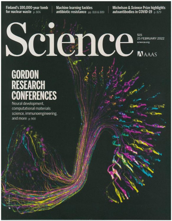 Science Magazine: Gordon Research Conferences (25 February 2022, Vol. 375, No. 6583)