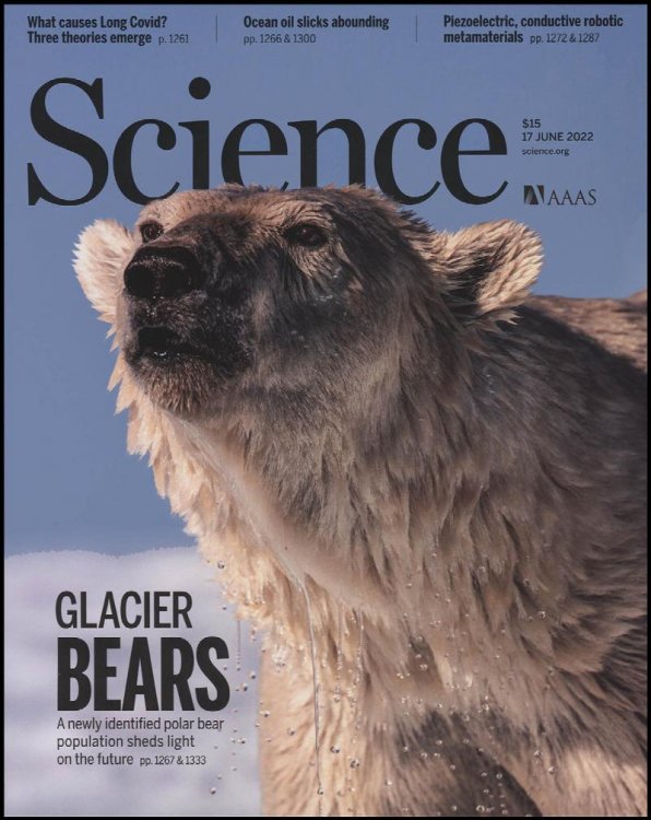 Science Magazine: Glacier Bears (17 June 2022)