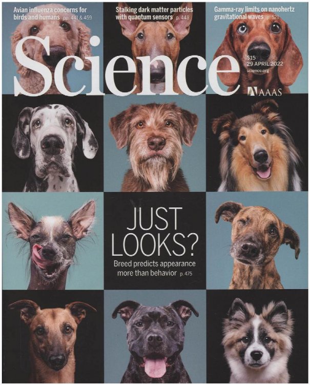 Science Magazine: Dog Breeds (29 April 2022)