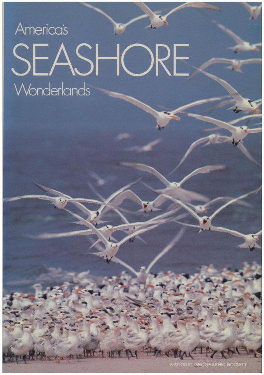 America's Seashore Wonderlands