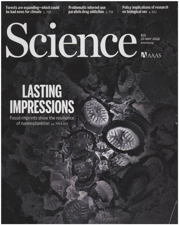 Science Magazine: Fossil Imprints (20 May 2022)