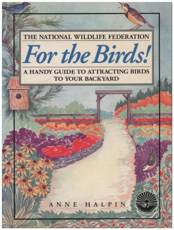 For the Birds! A Handy Guide to Attracting Birds to Your Backyard