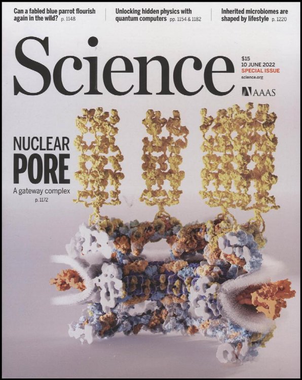 Science Magazine: Nuclear Pore: A Gateway Complex (10 June 2022)