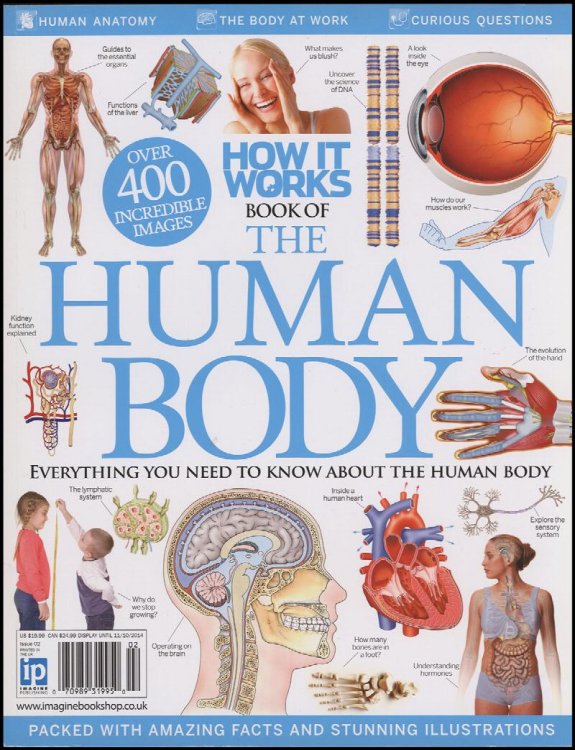 The Human Body: How it Works (Second Revised Edition)