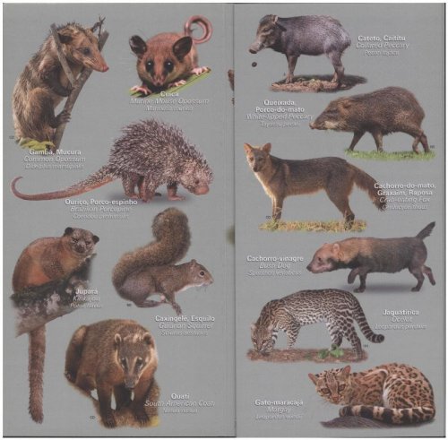 Field Guide for Mammals: Cristalino Lodge, Um Santuario Amazonico