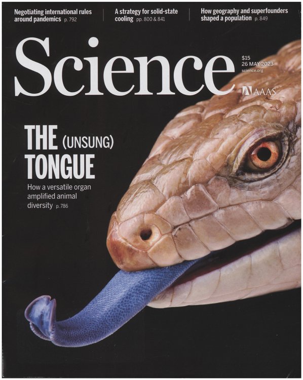 Science Magazine: The (Unsung) Tongue (26 May 2023, Vol 380, No. 6647)