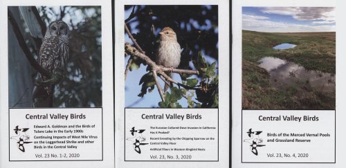 Central Valley Birds (Volume 23, 1-4, 2020)