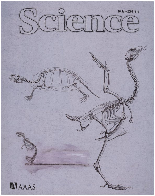 Science Magazine (10 July 2009, Volume 325, Issue 5937)