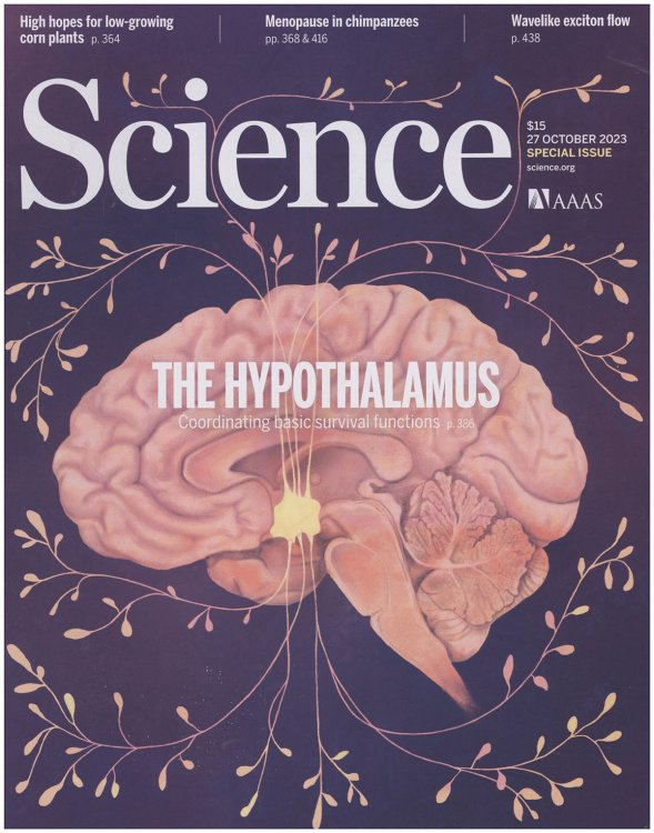 Science Magazine: Special issue on the Hypothalamus (27 Octobere 2023, Vol 382, Number 6669, pp341-484)
