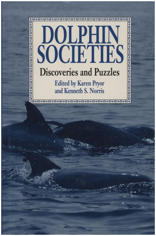 Dolphin Societies: Discoveries and Puzzles