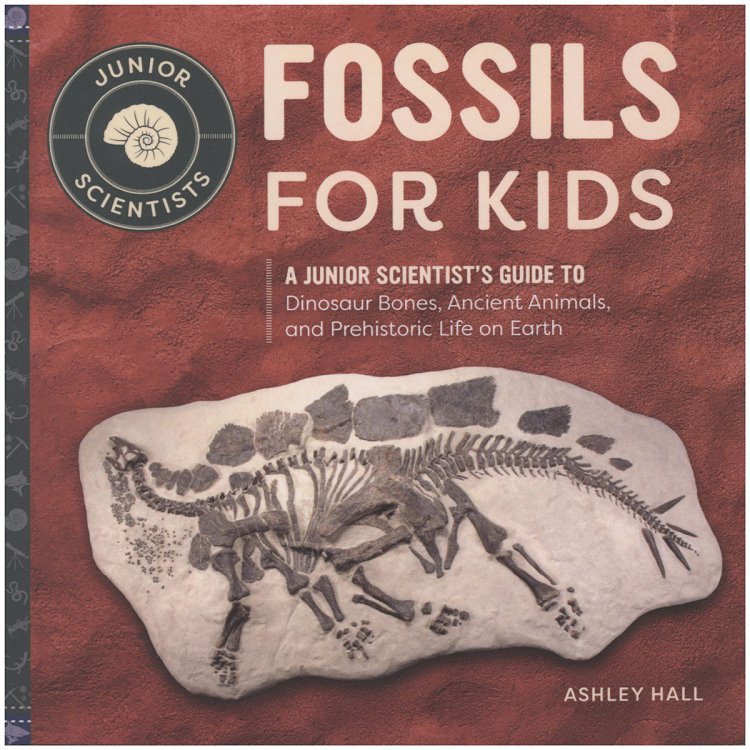 Fossils for Kids: A Junior Scientist's Guide to Dinosaur Bones, Ancient Animals, and Prehistoric Life on Earth