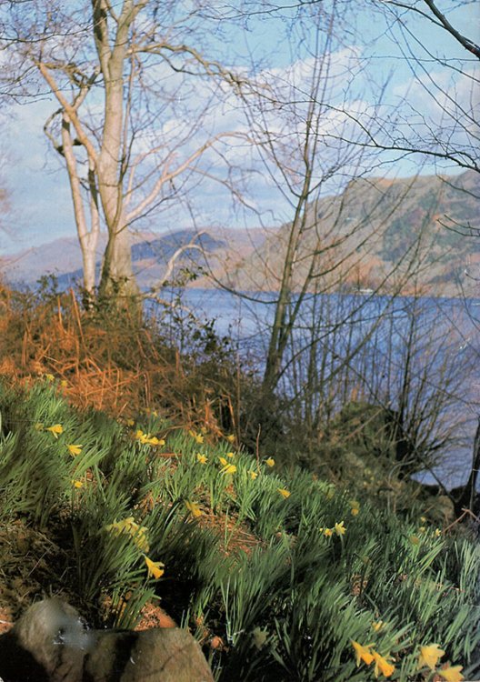 William Wordsworth