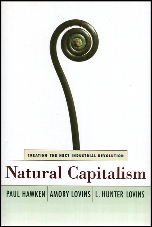 Natural Capitalism: Creating the Next Industrial Revolution