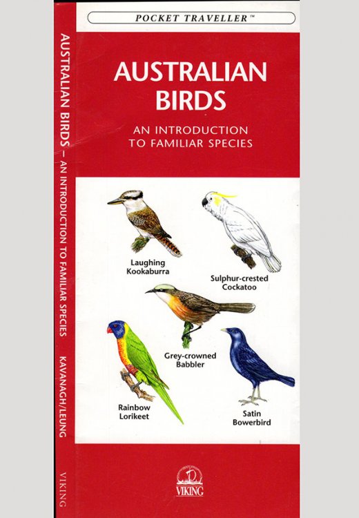 Australian Birds: Pocket Naturalist Series