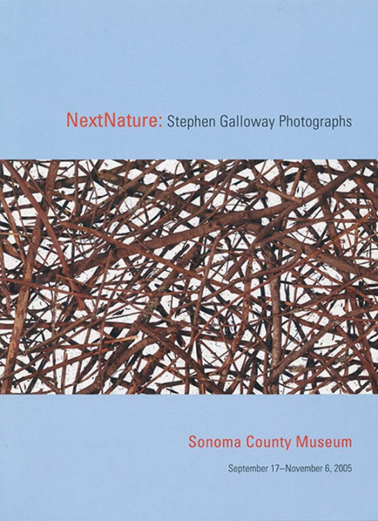 Next Nature: Stephen Galloway Photographs (Exhibition Brochure)