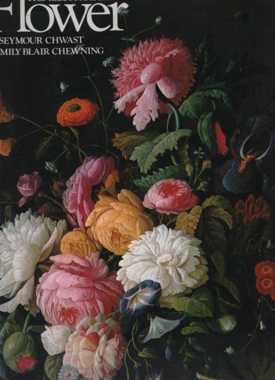 THE ILLUSTRATED FLOWER Text by Emily Blair Chewning; Designed by Seymour Chwast; Compiled by J C Suares; Edited by William E Maloney