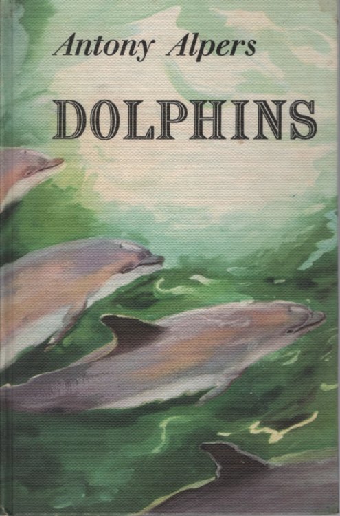 DOLPHINS