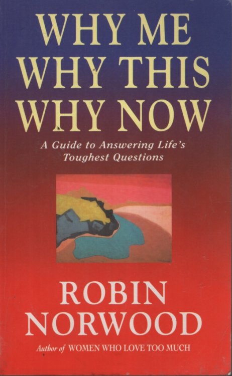 WHY ME WHY THIS WHY NOW A Guide to Answering Life's Toughest Questions