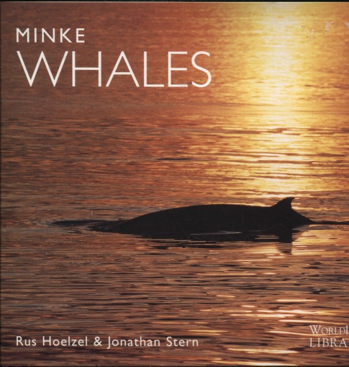 Minke Whales