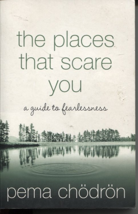 The Places That Scare You A Guide To Fearlessness