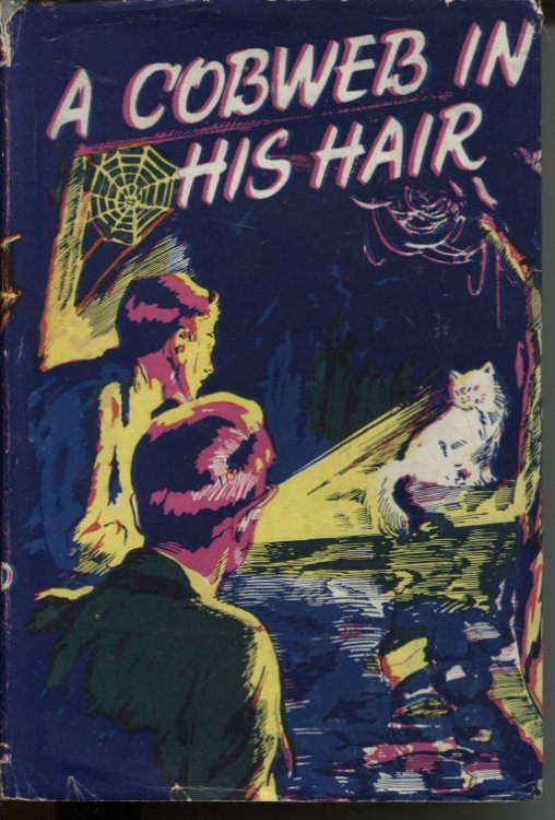 A COBWEB IN HIS HAIR