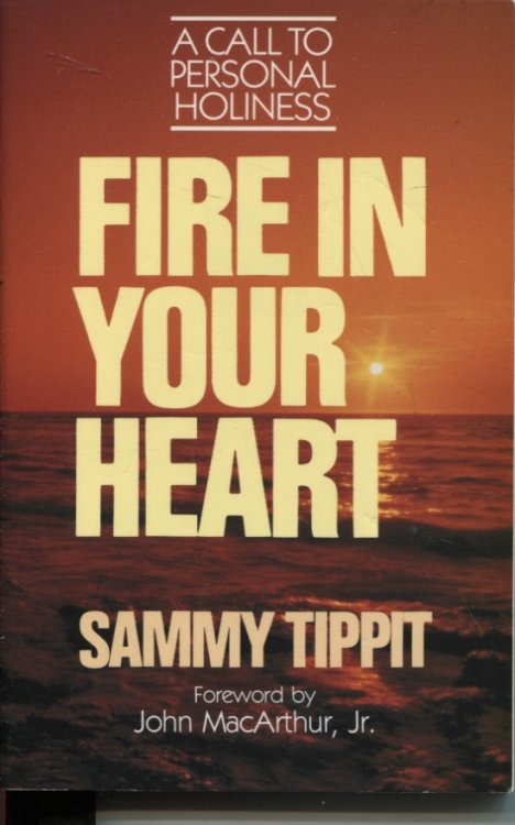 Fire In Your Heart A Call To Personal Holiness