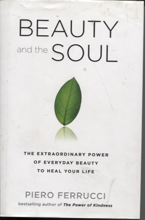 BEAUTY AND THE SOUL : THE EXTRAORDINARY POWER OF EVERYDAY BEAUTY TO HEAL YOUR LIFE
