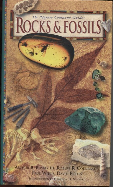 ROCKS & FOSSILS