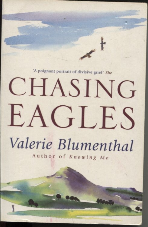 Chasing Eagles