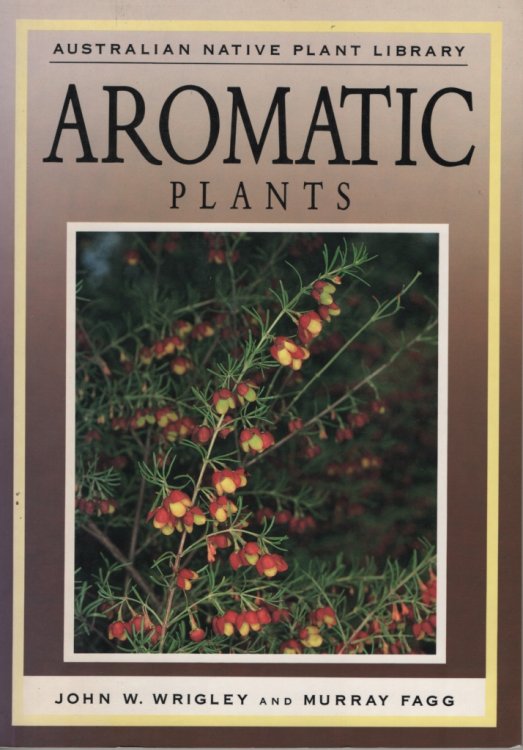 Aromatic plants