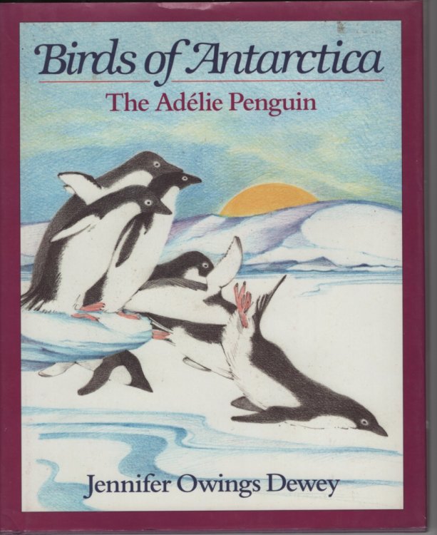 BIRDS OF ANTARCTICA: THE ADELIE PENGUIN