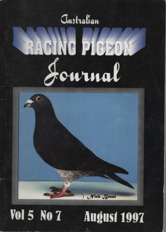 AUSTRALIAN RACING PIGEON JOURNAL : VOL.5 NO 7 AUGUST 1997