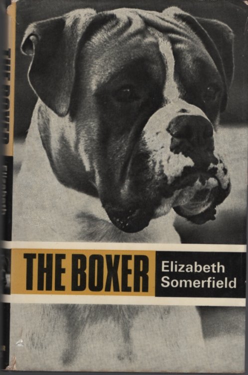 THE BOXER