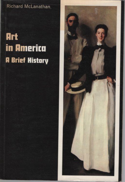 Art in America A Brief History with 189 Illustrations