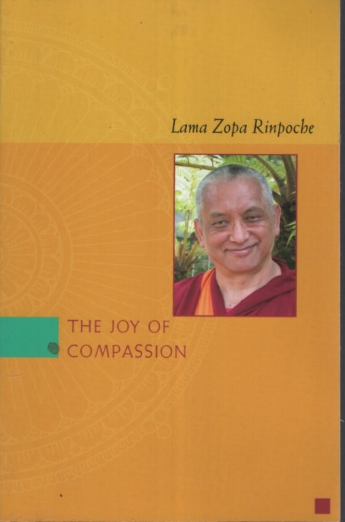 The Joy of Compassion