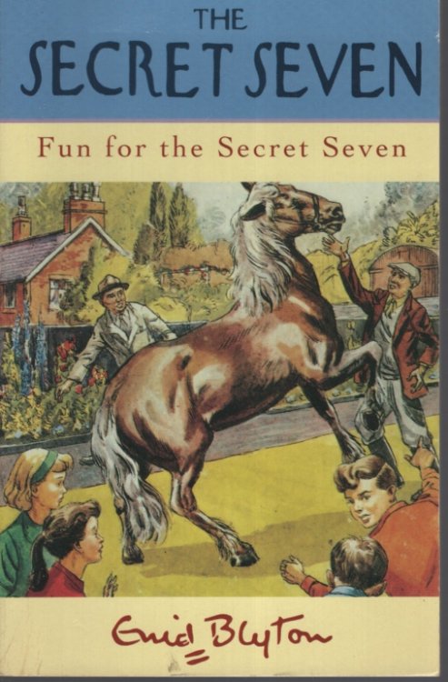 Fun for the Secret Seven (#15)