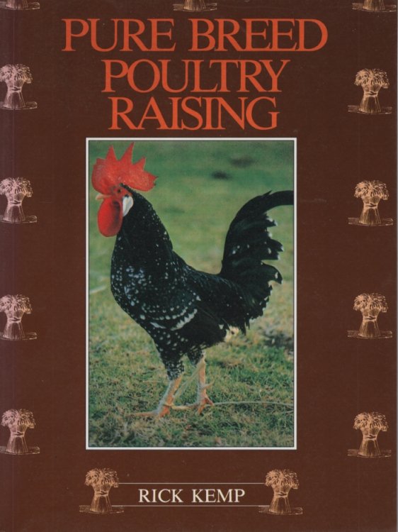 Pure Breed Poultry Raising