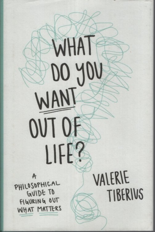 What Do You Want Out of Life: A Philosophical Guide to Figuring Out What Matters