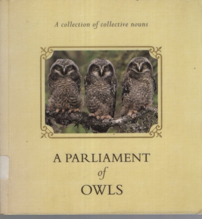 A Parliament of Owls