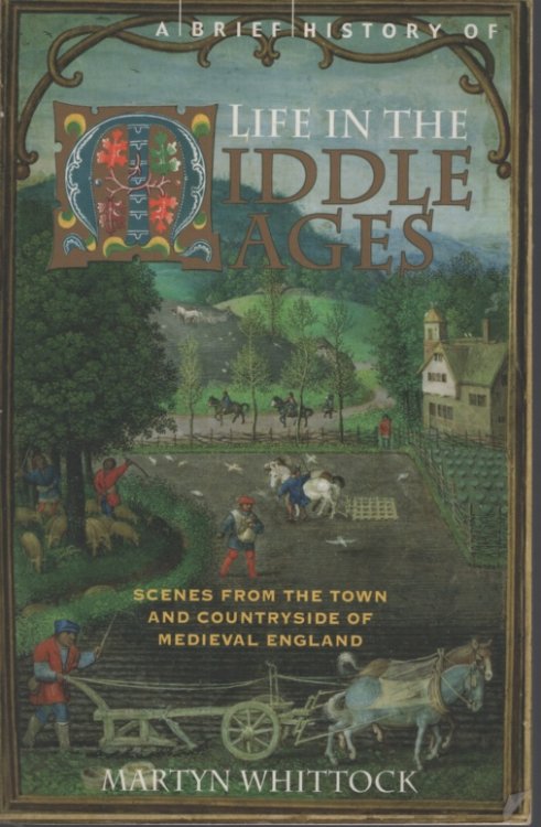A BRIEF HISTORY OF LIFE IN THE MIDDLE AGES