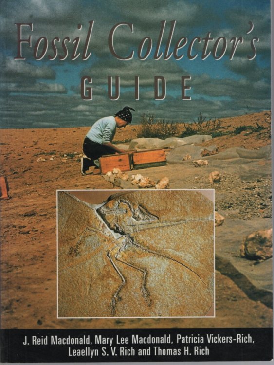 Fossil Collector's Guide