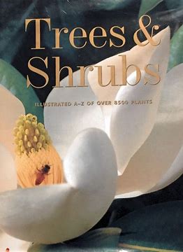 Trees & Shrubs