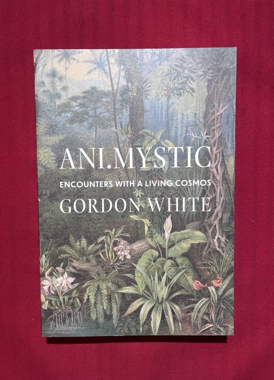 ANI.MYSTIC: Encounters with a Living Cosmos
